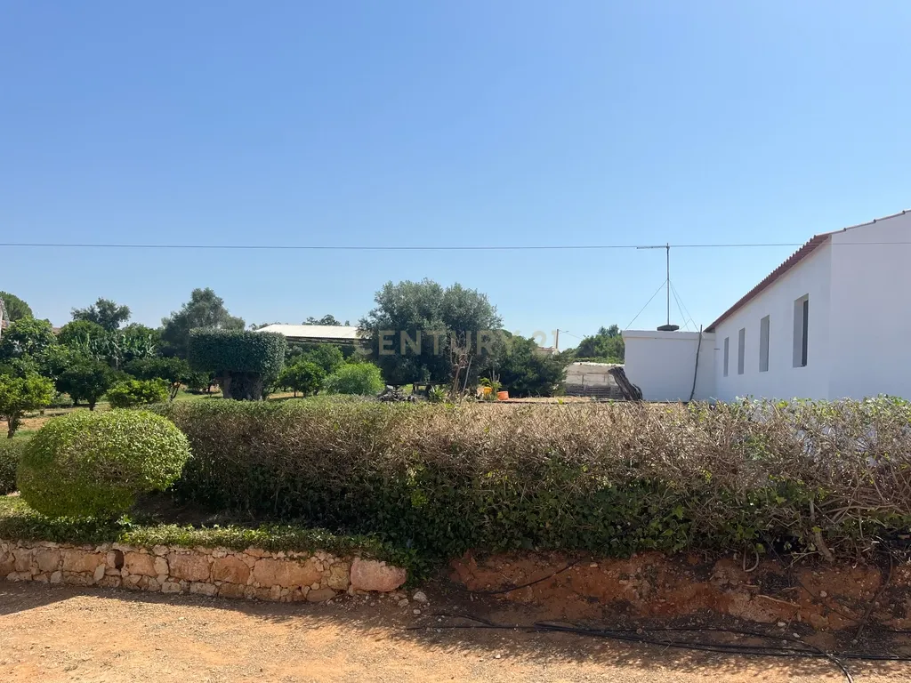Quinta com 208.790m2, em Plena produção de Citrinos, e estufas, com elevado rendimento. Grande Potencial para projetos com fundos Europeus, e Turismo Rural. - Image 21