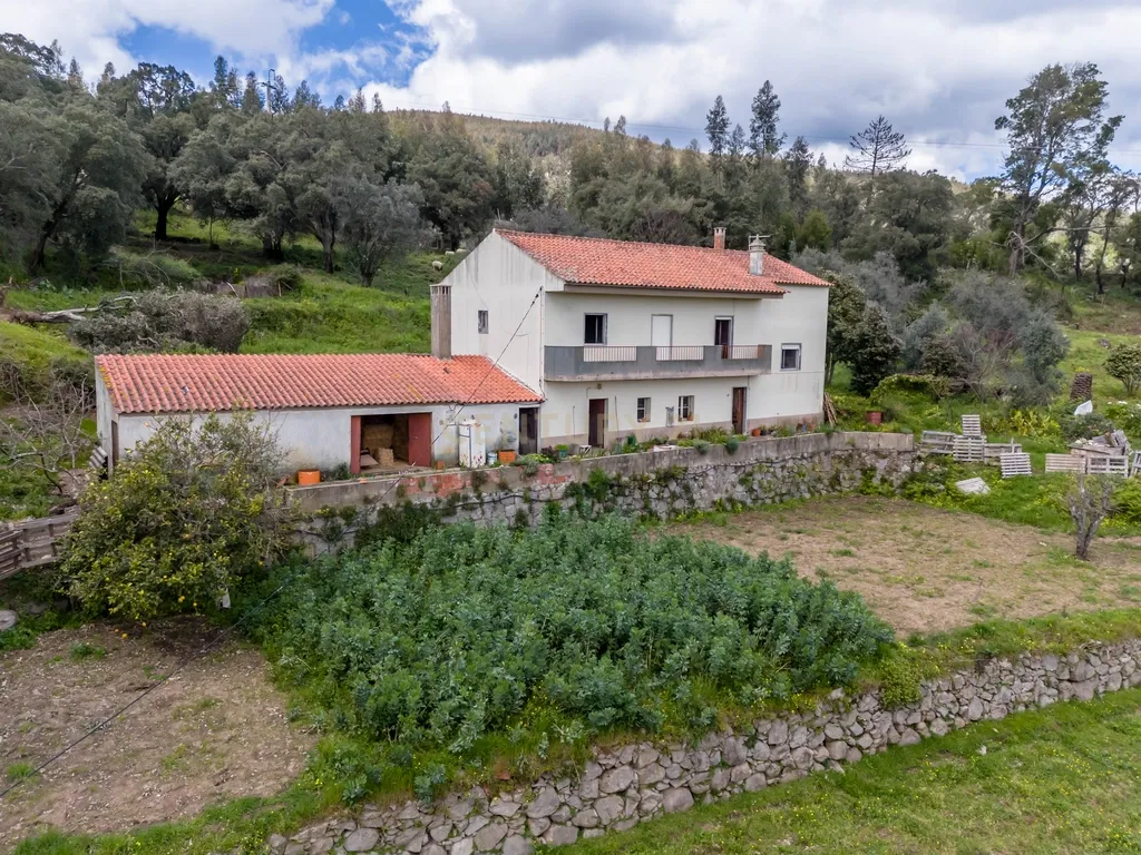 QUINTA COM 2,5 HECTARES EM ZONA CENTRAL DE MONCHIQUE - Image 24