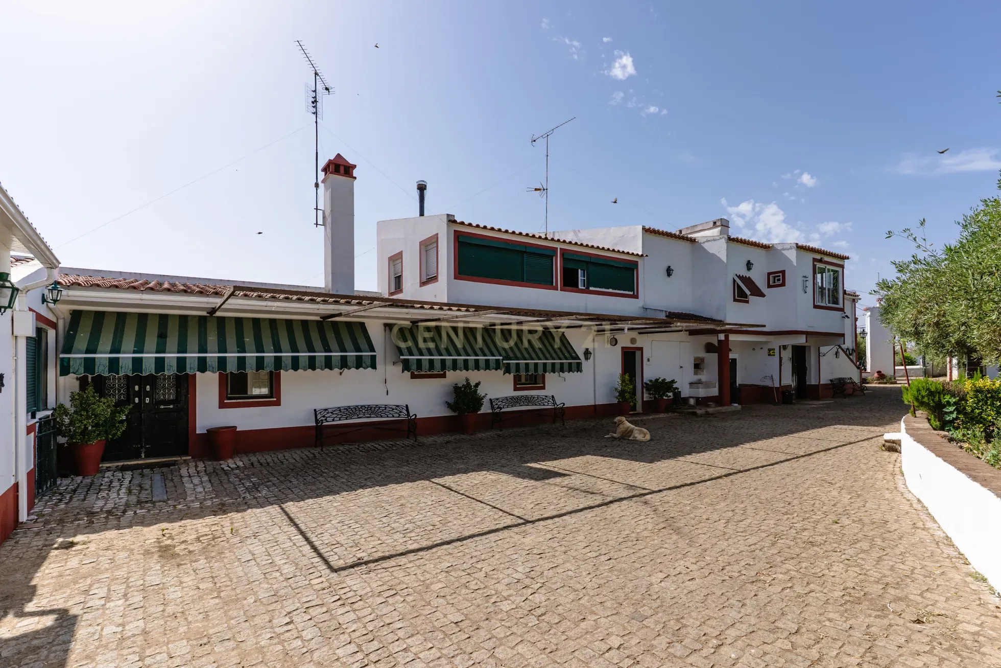 Fotografia 5 de Quinta em  São Brás e São Lourenço