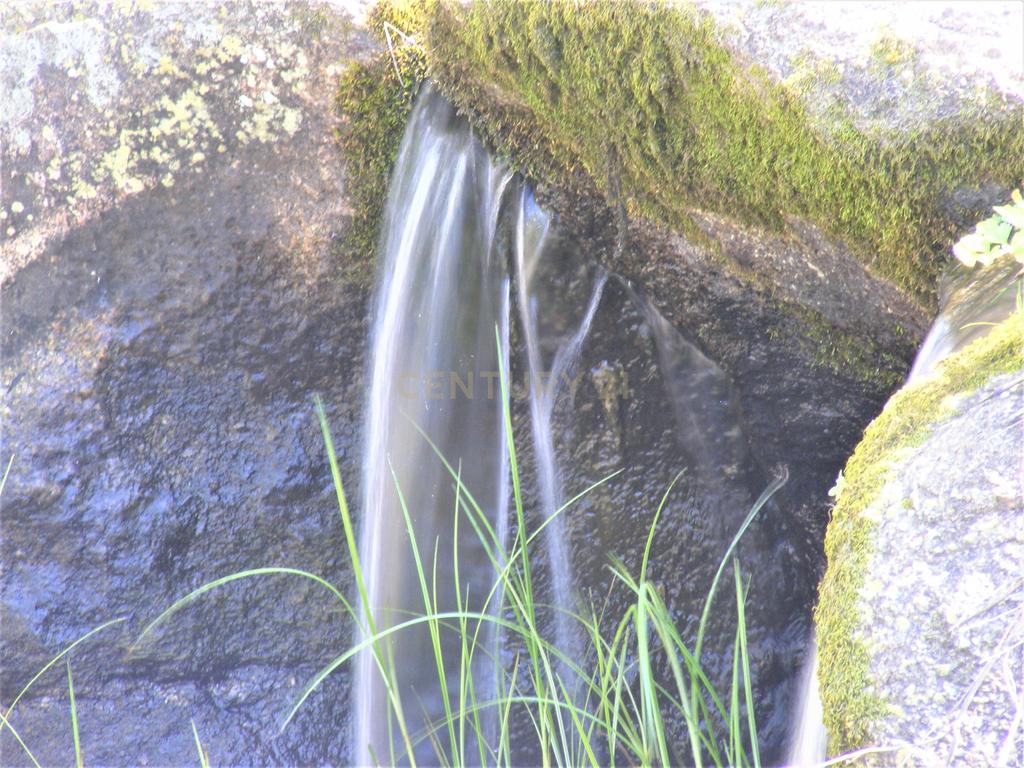 Quinta Típica Alentejana, Licença de Turismo Rural, Arrendamento, Arraiolos - Image 61