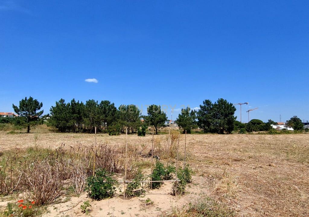 Oportunidade Única: Terreno de 11.700 m², localização central na Charneca da Caparica - Image 11