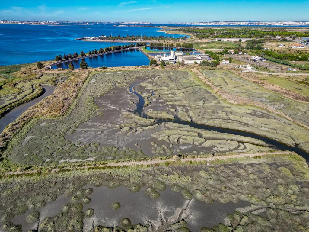 Terreno 20,18ha, Montijo - Seixalinho, para actividades de piscicultura e agricultura - Image 7