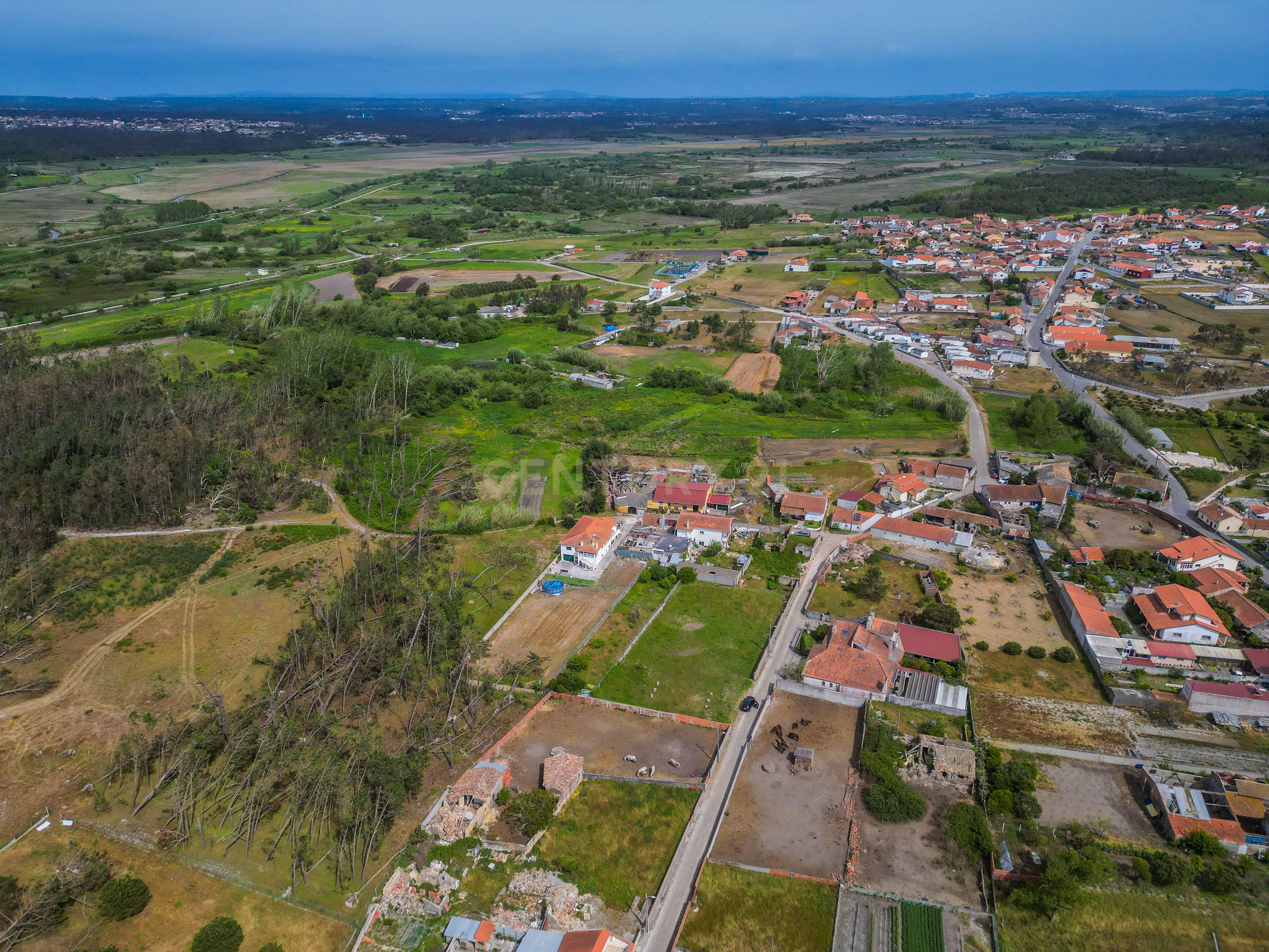 Fotografia 6 de Terreno com 740 m² para construção em Vieira de Leiria