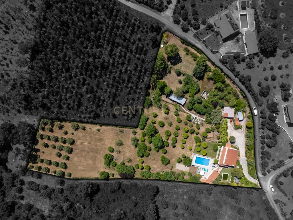 Quinta de 1ha vedada com piscina, jacuzzi, pomar e vista panorâmica em Olalhas, Tomar - Image 32