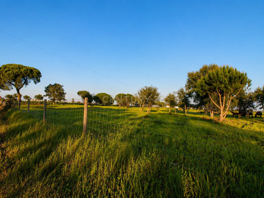 Terreno de 25.000 m² em Pegões com Grande Potencial de Construção! - Image 4