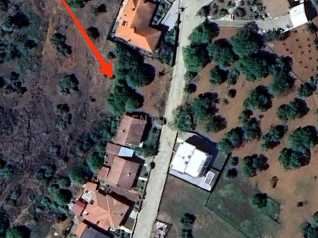 Terreno para construção em Samil - Bragança - Image 1