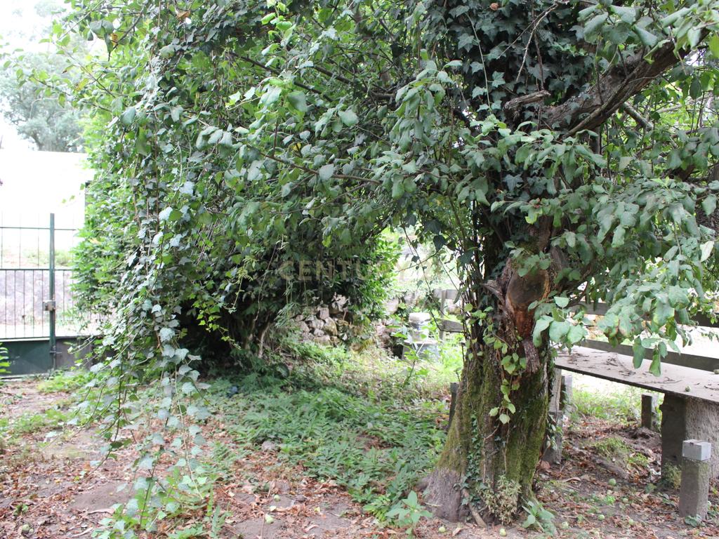 Moradia para restauro - oportunidade de investimento Paços de Ferreira, Figueiró - Image 24