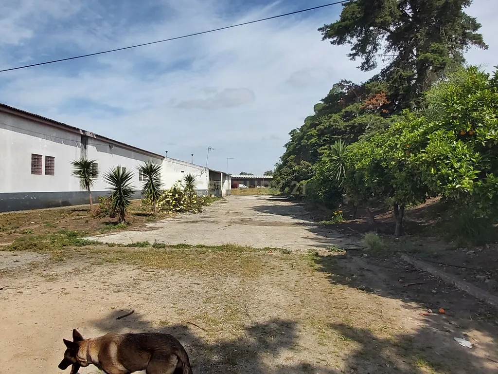 💼 Espaço Industrial/Comercial com 2 Armazéns e Terreno Amplo – Excelente Potencial em Beja - Image 8