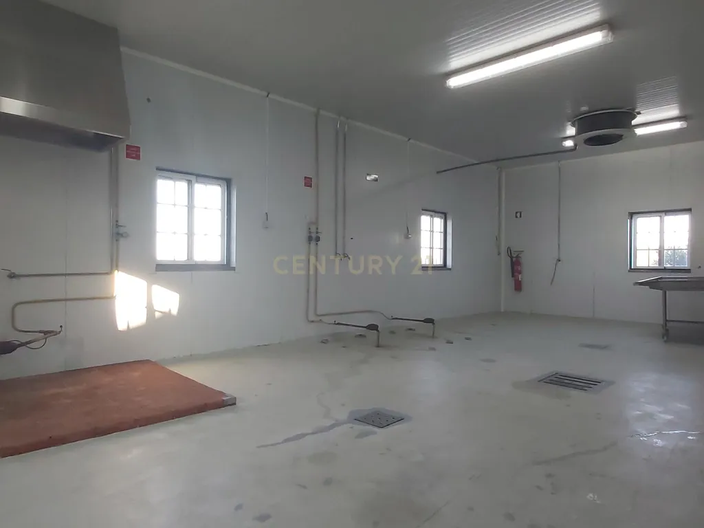 🚀 Expanda o Seu Negócio com Este Pavilhão Pronto a Produzir** Beja, Serpa  - Image 3