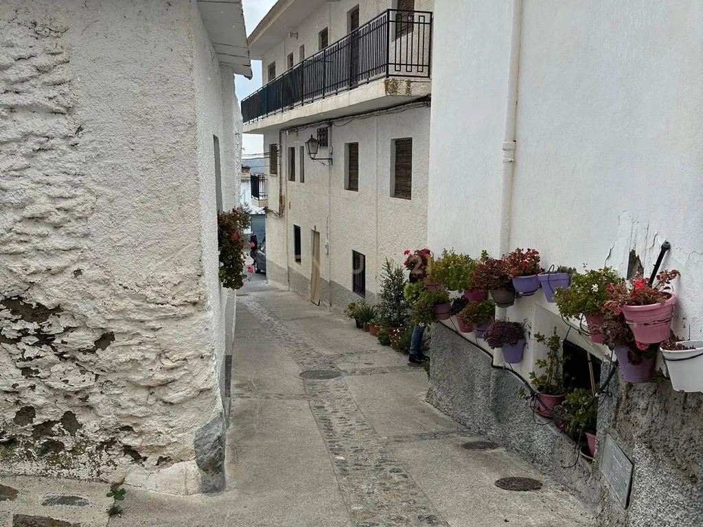 - Image 14