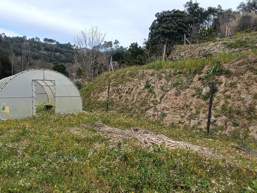 Casa com terreno de construção e agrícola perto do rio Douro em Granja, S. Tomé de Covelas, Baião, Porto - Image 20