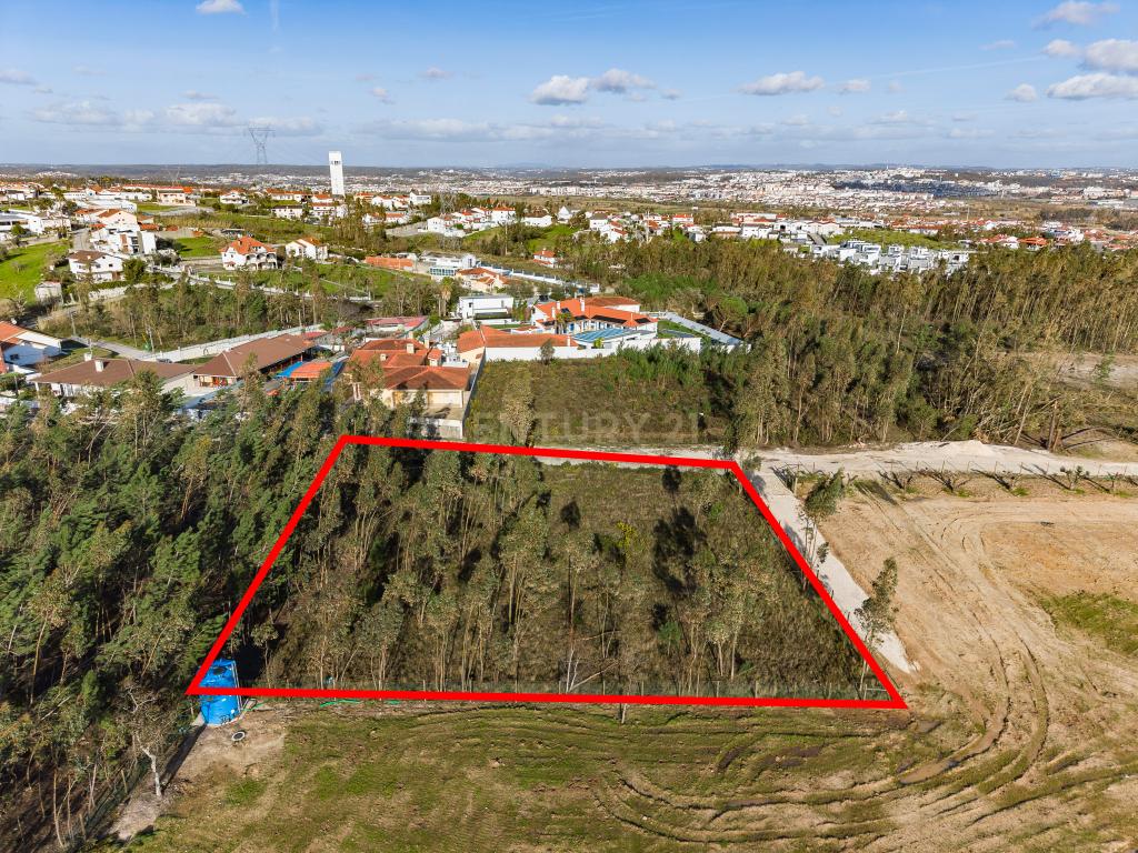 Terreno Rústico com Viabilidade de Construção — Barosa, Leiria - Image 17