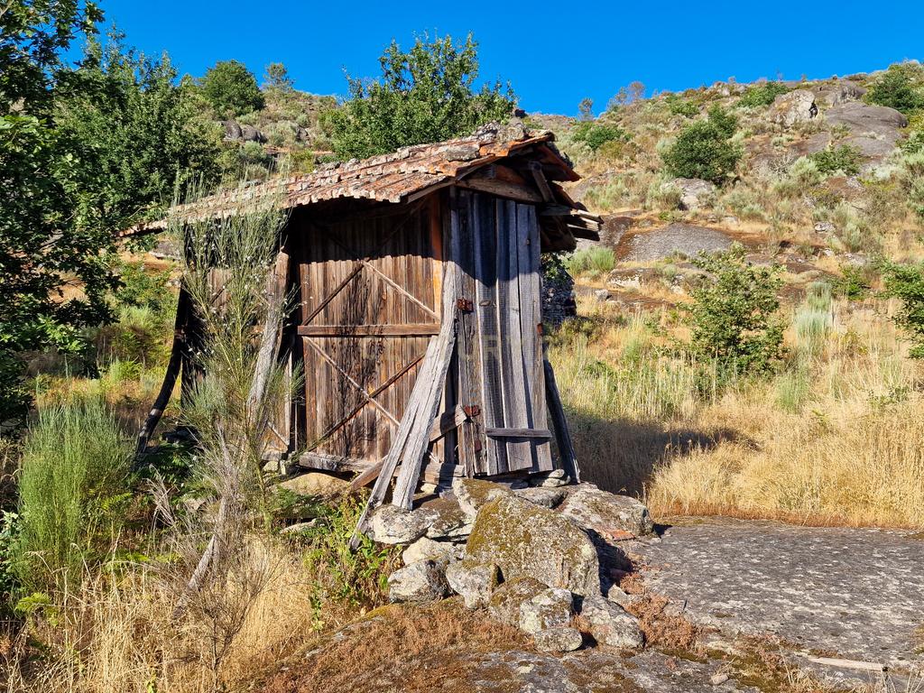 Quinta com Casa para Recuperação em Ferreira de Aves, Viseu - Image 16