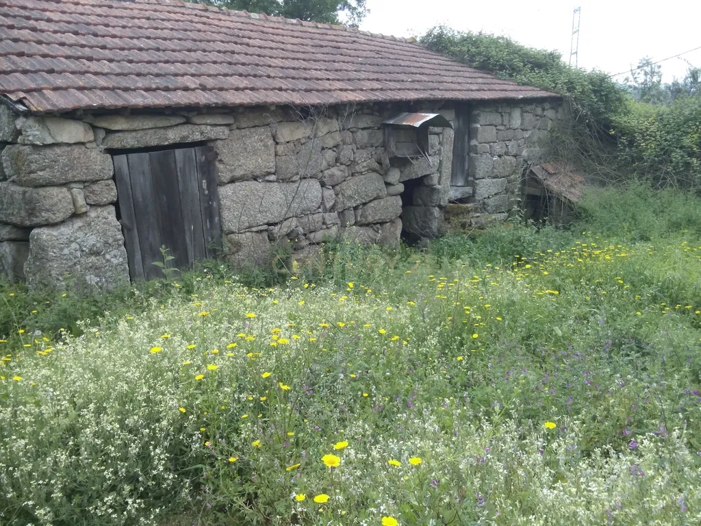 Moradias em ruína em Abragão - Image 12