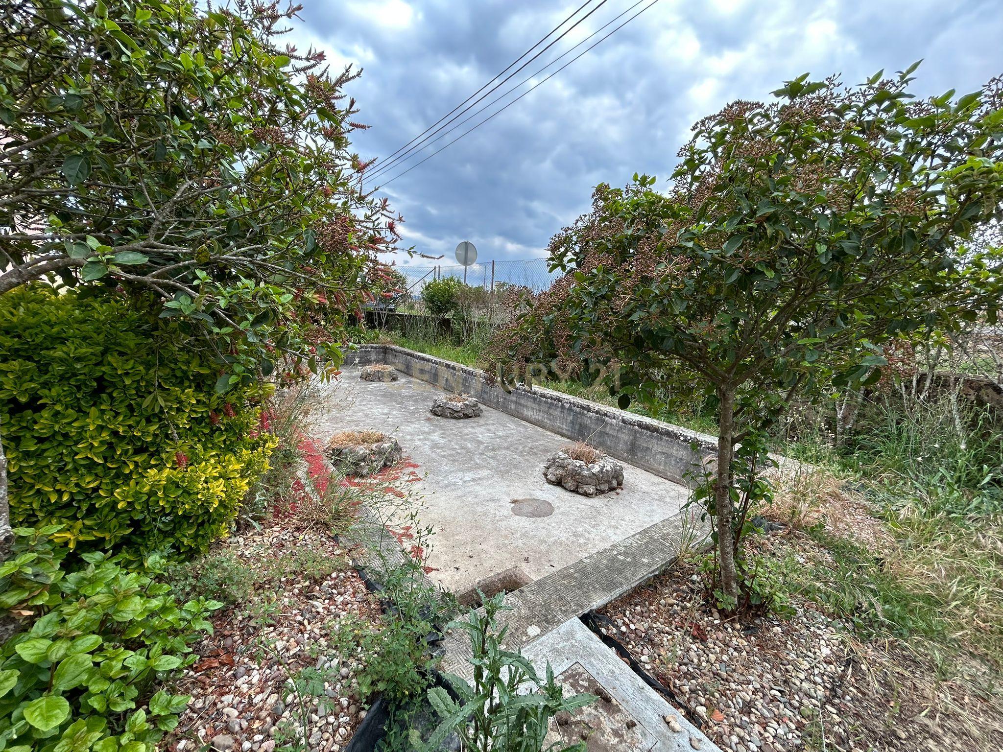 Quinta T3 em São Lourenço - Tomar - Image 5