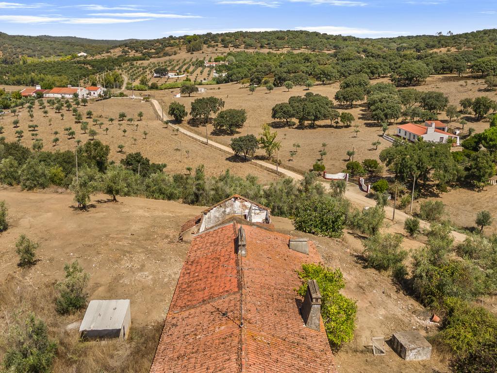 HERDADE COM 5,9 HECTARES, MORADIA E CAVALARIÇA | SANTIAGO DO ESCOURAL - Image 7