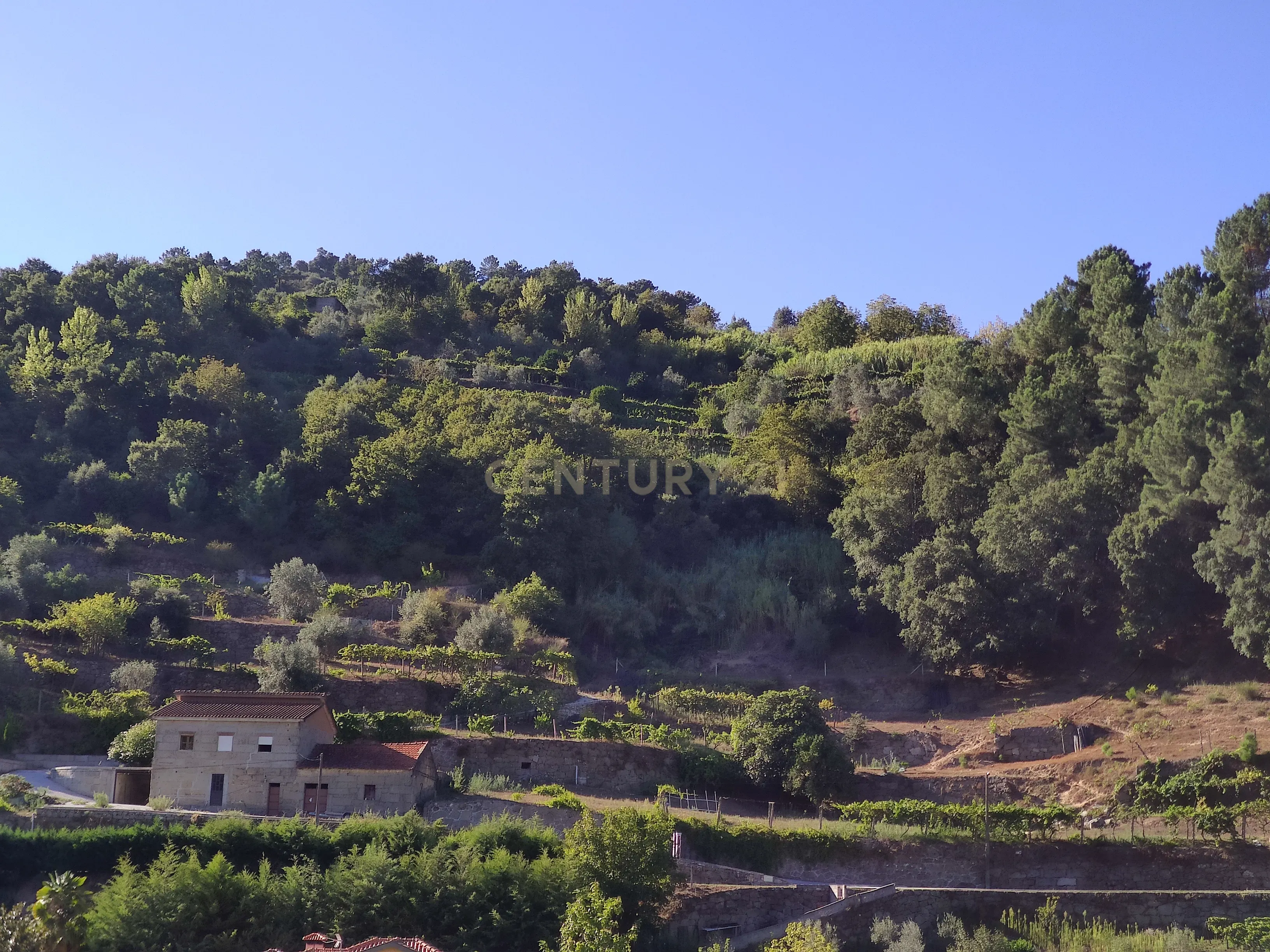 Moradia T3 à venda em Loivos da Ribeira e Tresouras, Baião — foto 37