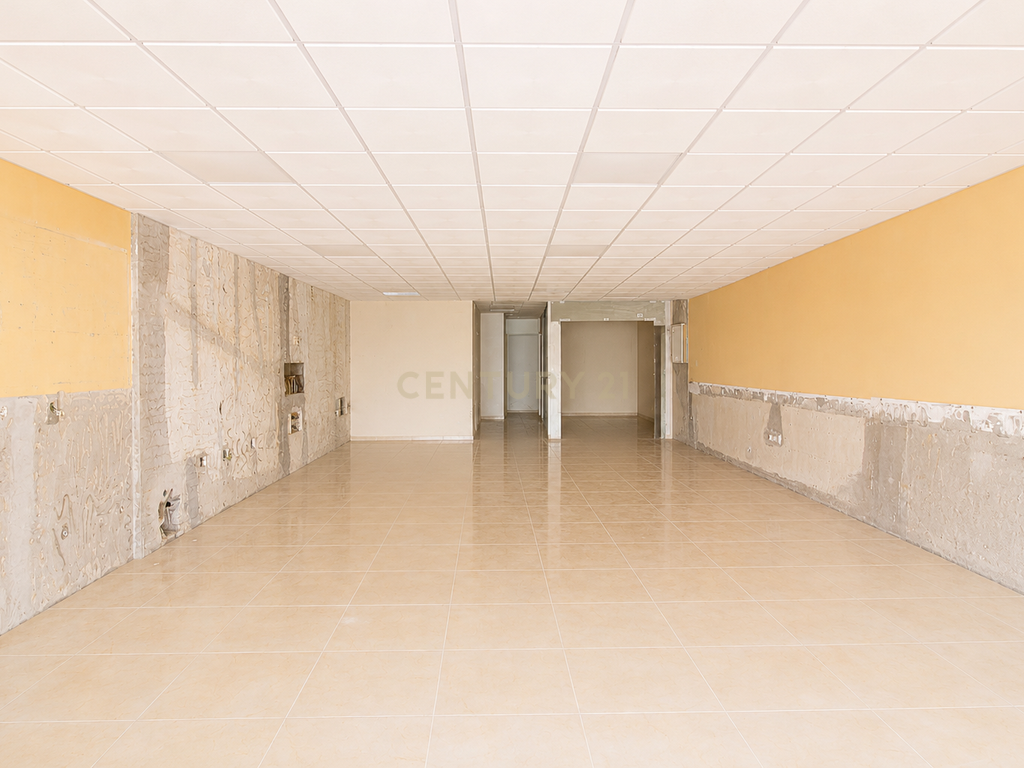 Espaço Comercial de Grande Dimensão no Centro Histórico de Beja - Image 8