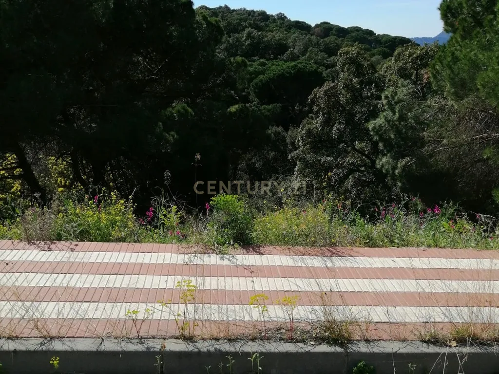 - Image 12
