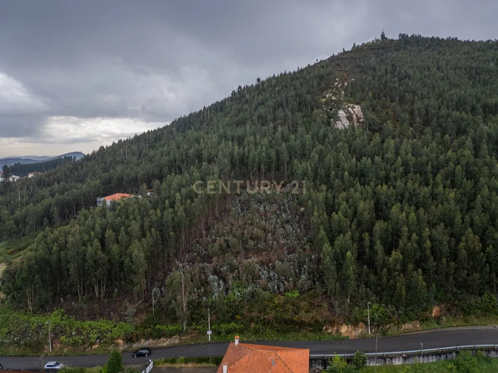 Terreno para Construção com Projeto Turístico e Vista Rio Douro – Castelo de Paiva - Image 13