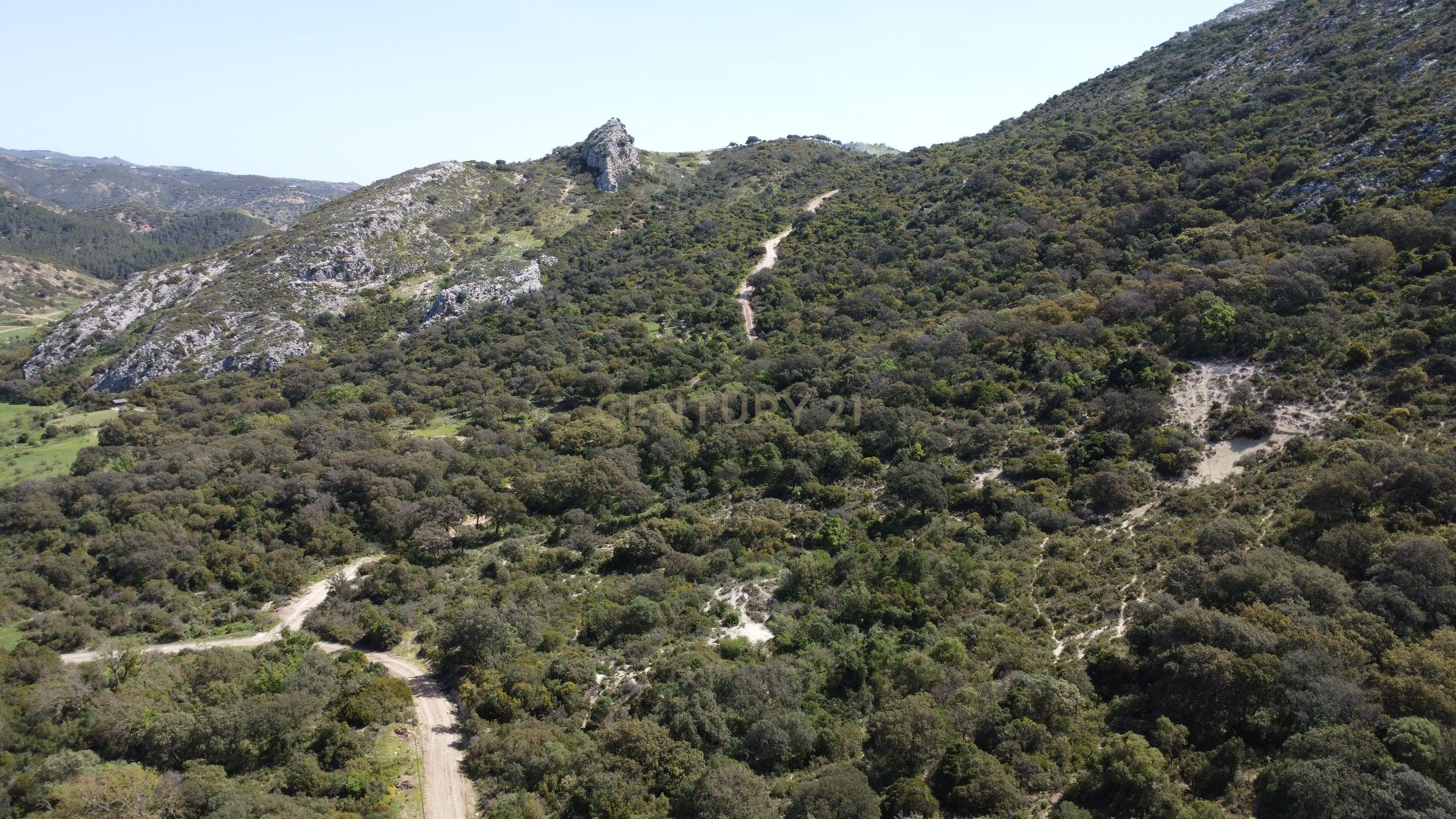 VENDA DE PROPRIEDADE RÚSTICA EM ANTEQUERA COM EXPLORAÇÃO DE AGROTURISMO - Image 107