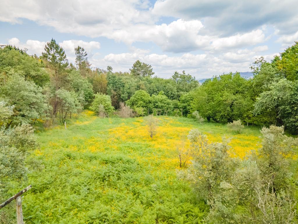 Terreno Urbano em Marco de Canaveses com Vista Campestre - Image 4