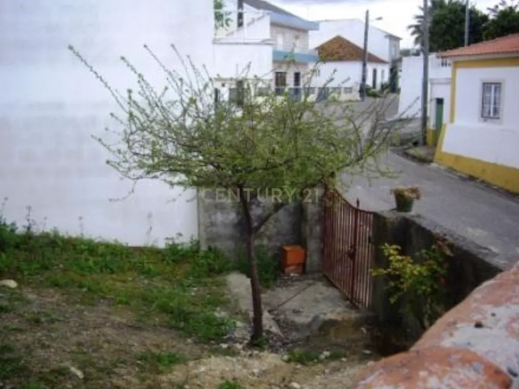 Ruína com Potencial em Moçarria, Santarém - Image 12