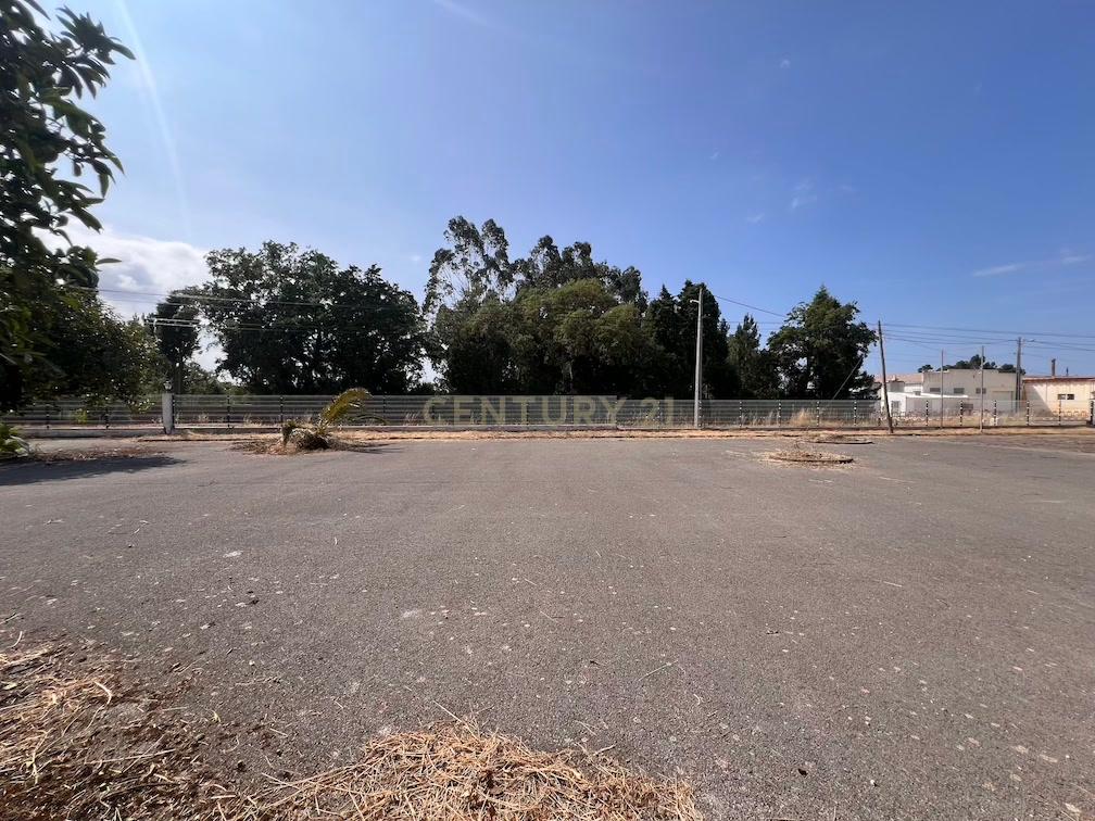 Pavilhão com grande potencial industrial/comercial junto à estrada principal em Albergaria – Juncal - Image 19