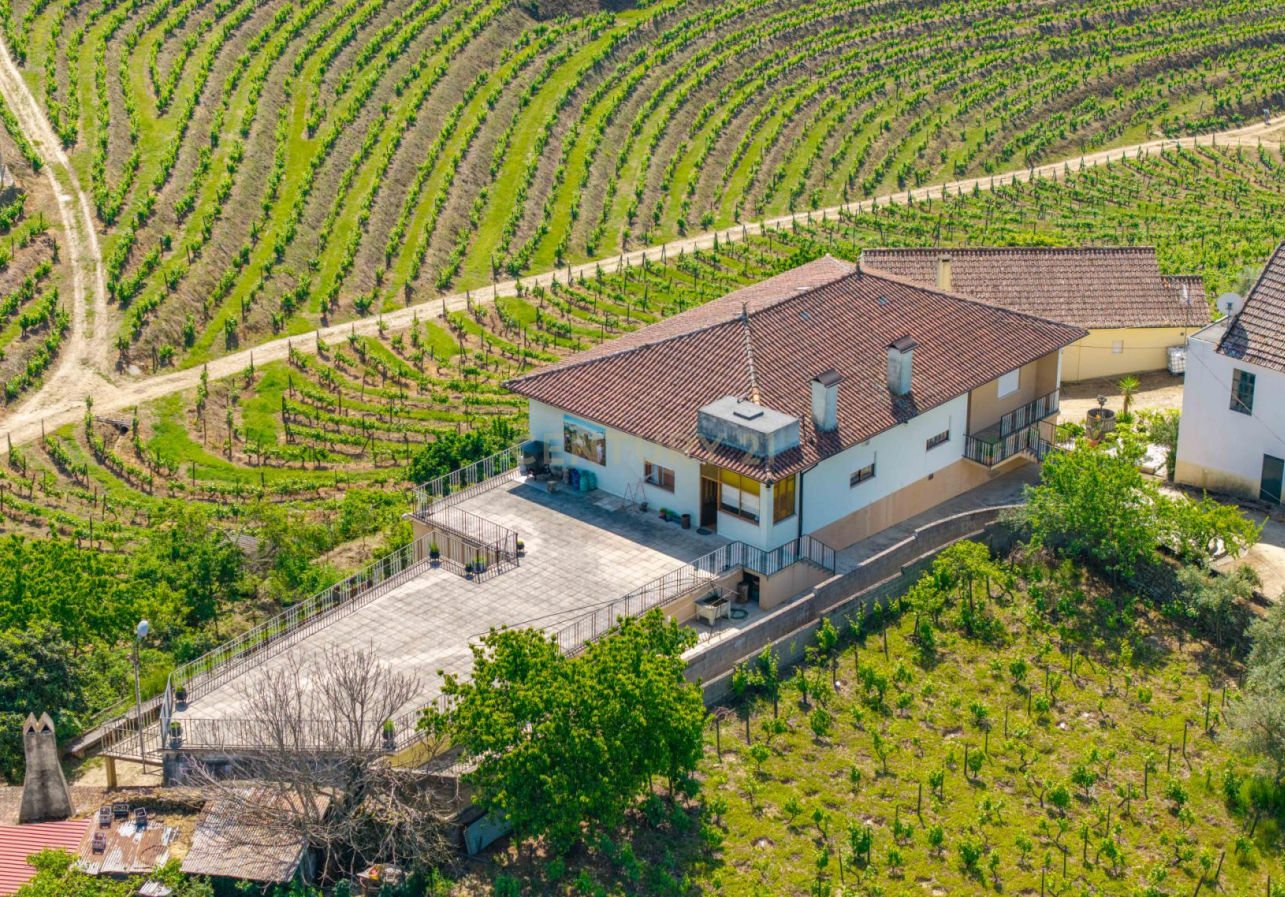 Fotografia 5 de Duas quintas com 30ha para venda em Santa Marta de Penaguião, propriedade exclusiva no Douro