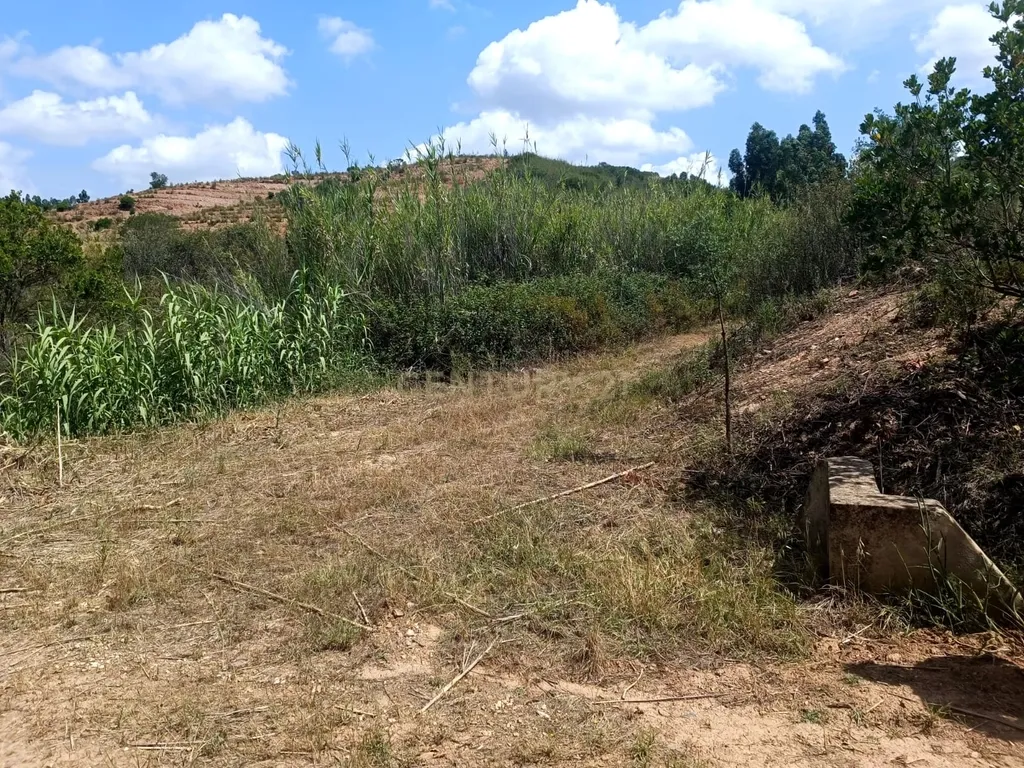 Terreno Misto com 3,66HA - Perna Seca - S. B. Messines - Image 21