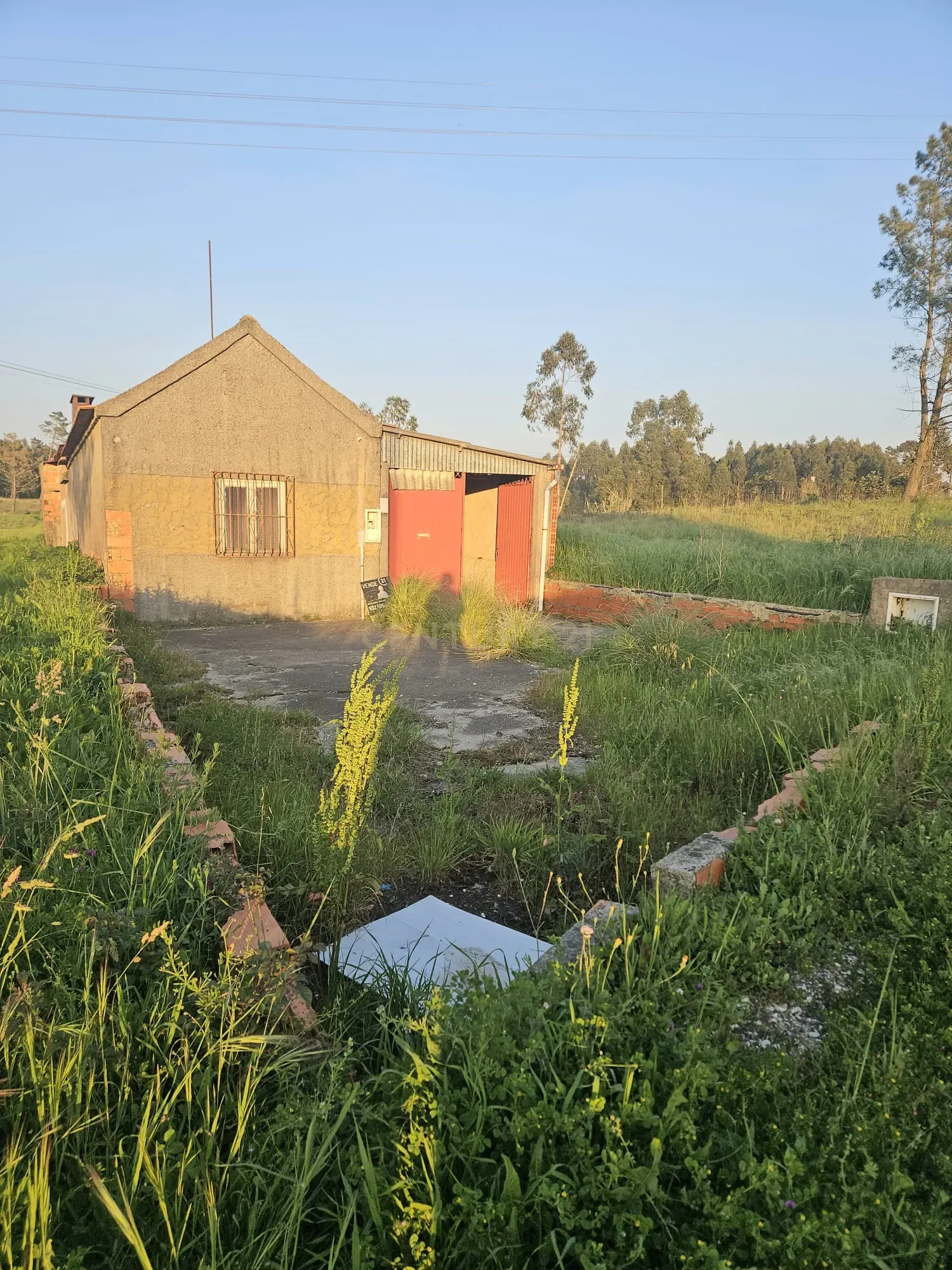 Fotografia 3 de Moradia T2 Térrea para Reconstrução + Terreno de 712 m² em Bustos | Ideal para investidores.