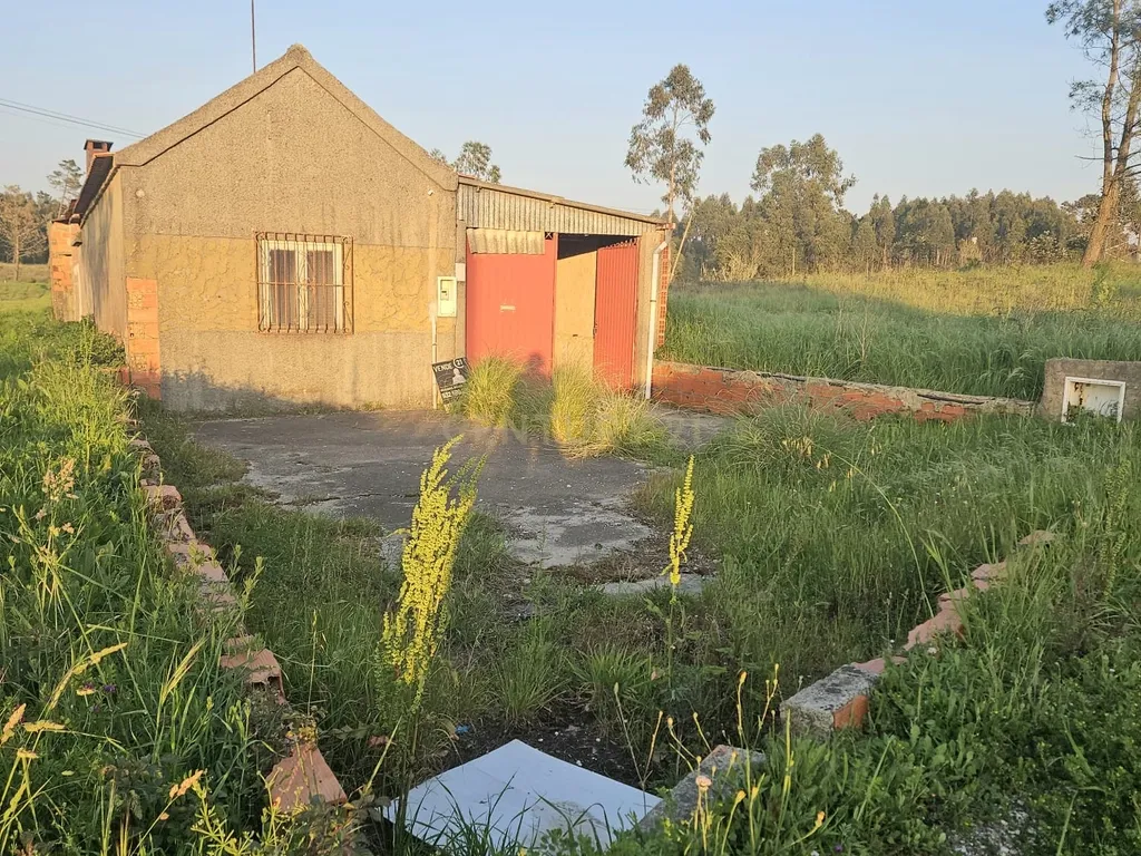 Moradia T2 Térrea para Reconstrução + Terreno de 712 m² em Bustos | Ideal para investidores. - Image 3
