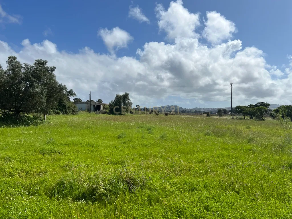 Terreno Industrial de 20.500 m² em Localização Estratégica - Image 7