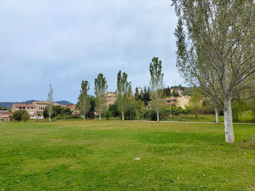  - Image 5