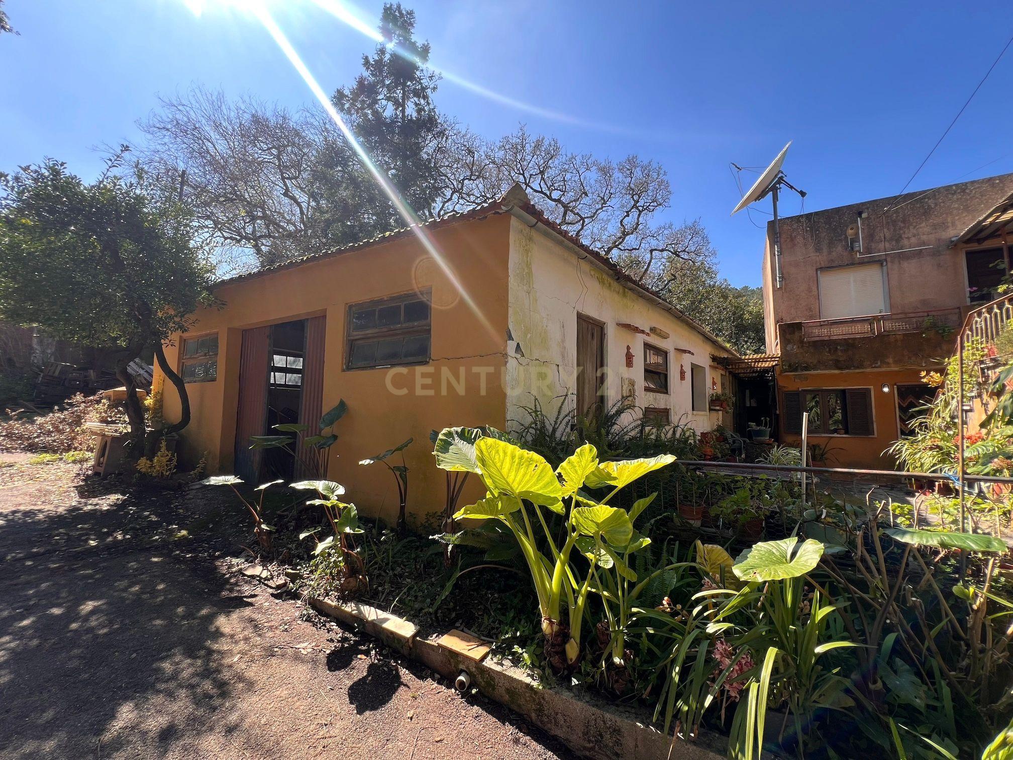 Moradia T3 à venda em Vidais, Caldas da Rainha — foto 16
