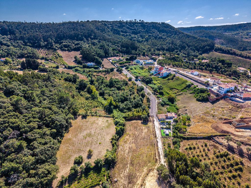 Terreno com riacho, árvores de fruto e PIP aprovado — Carapiteira de Baixo - Image 7