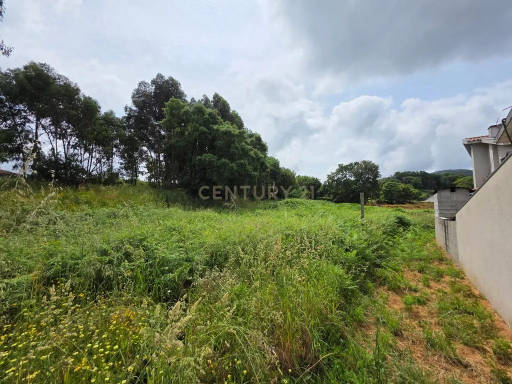 Terreno em Galegos - Penafiel - Image 7