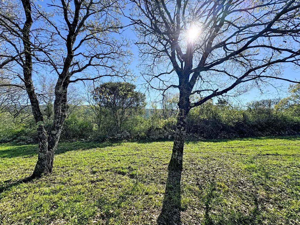 O lugar ideal para construir em plena natureza – Alcobaça - Image 18