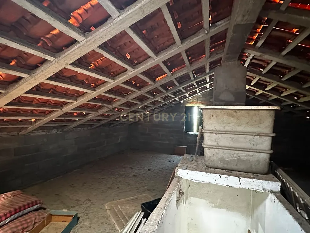 Terreno Misto de 2ha com habitação, Ladoeiro , Castelo Branco - Image 14