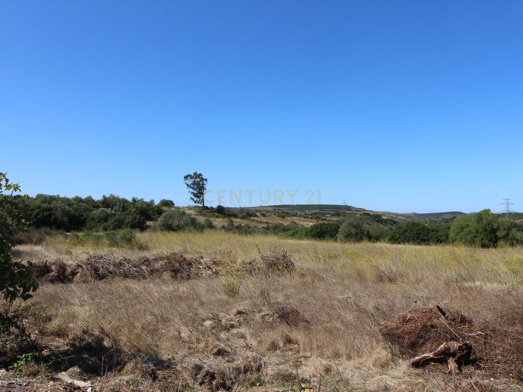 Encantadora Moradia com Jardim em Santiago dos velhos. - Image 31