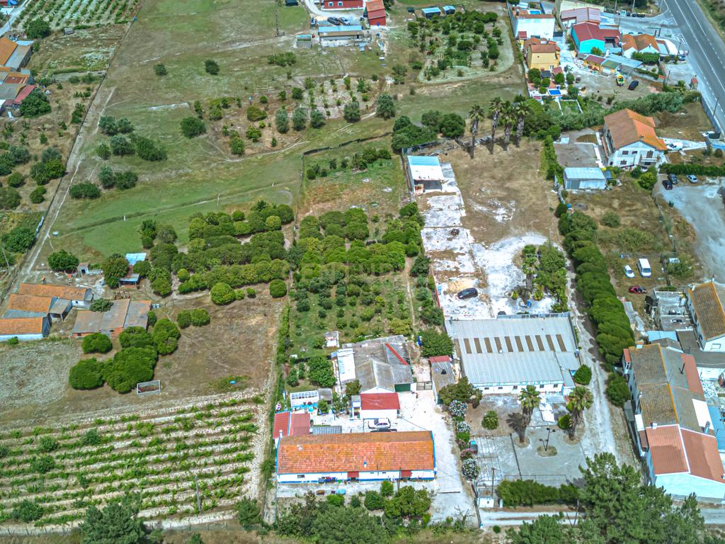 Encantadora Quinta em Palmela com 5200m2 e 196m2 privativos - Image 3