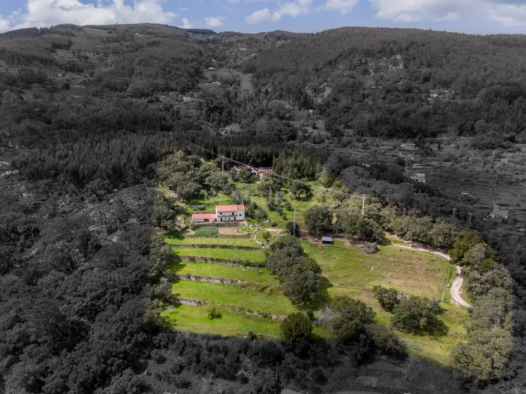 QUINTA COM 2,5 HECTARES EM ZONA CENTRAL DE MONCHIQUE - Image 4