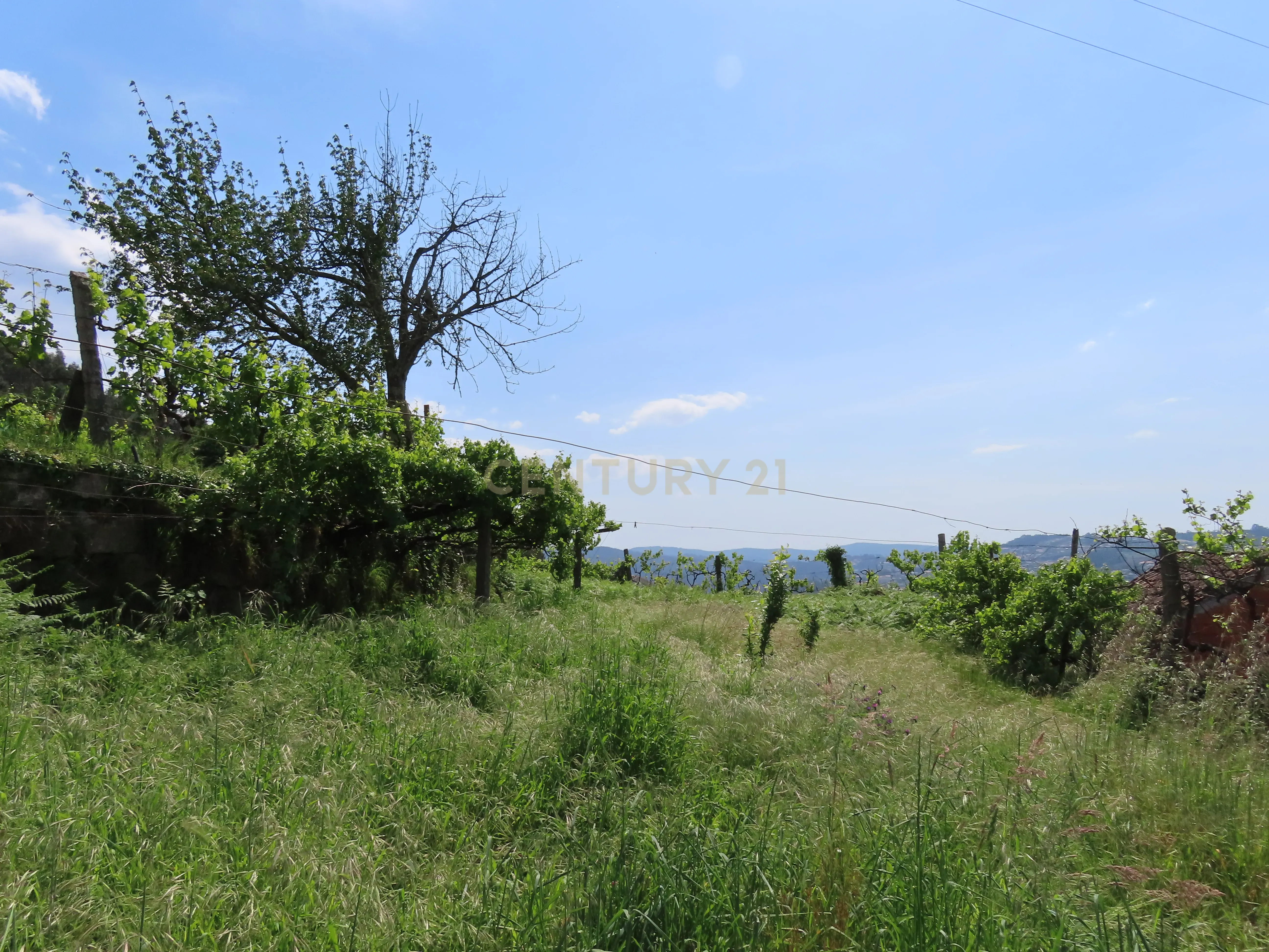 Fotografia 10 de Moradia T2 em Travanca, Cinfães – Ideal para Habitação ou Férias