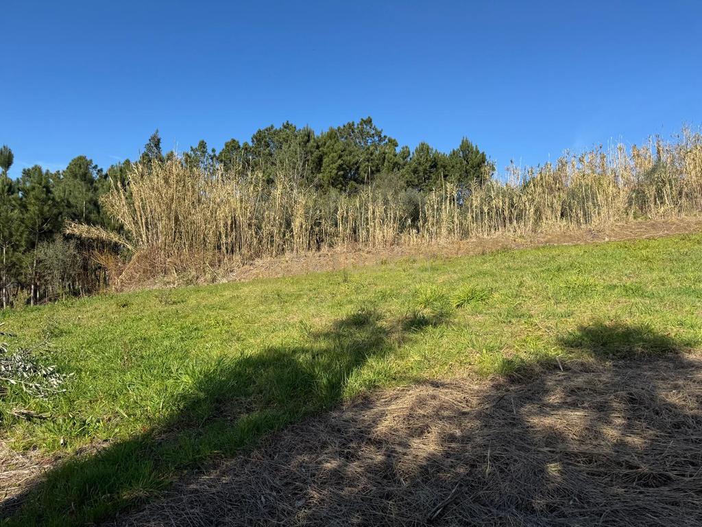 Terreno Panorâmico em Pombal - 1020m² por 34.500€ - Image 13