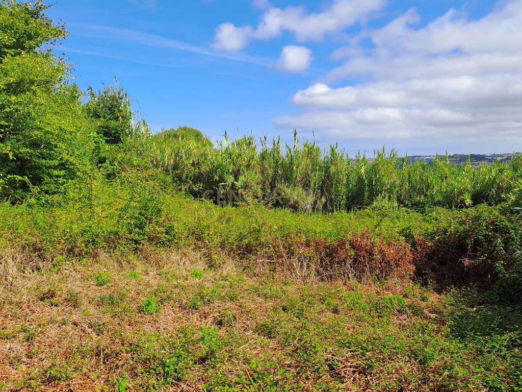 Terreno Agrícola - São João das Lampas - Image 6