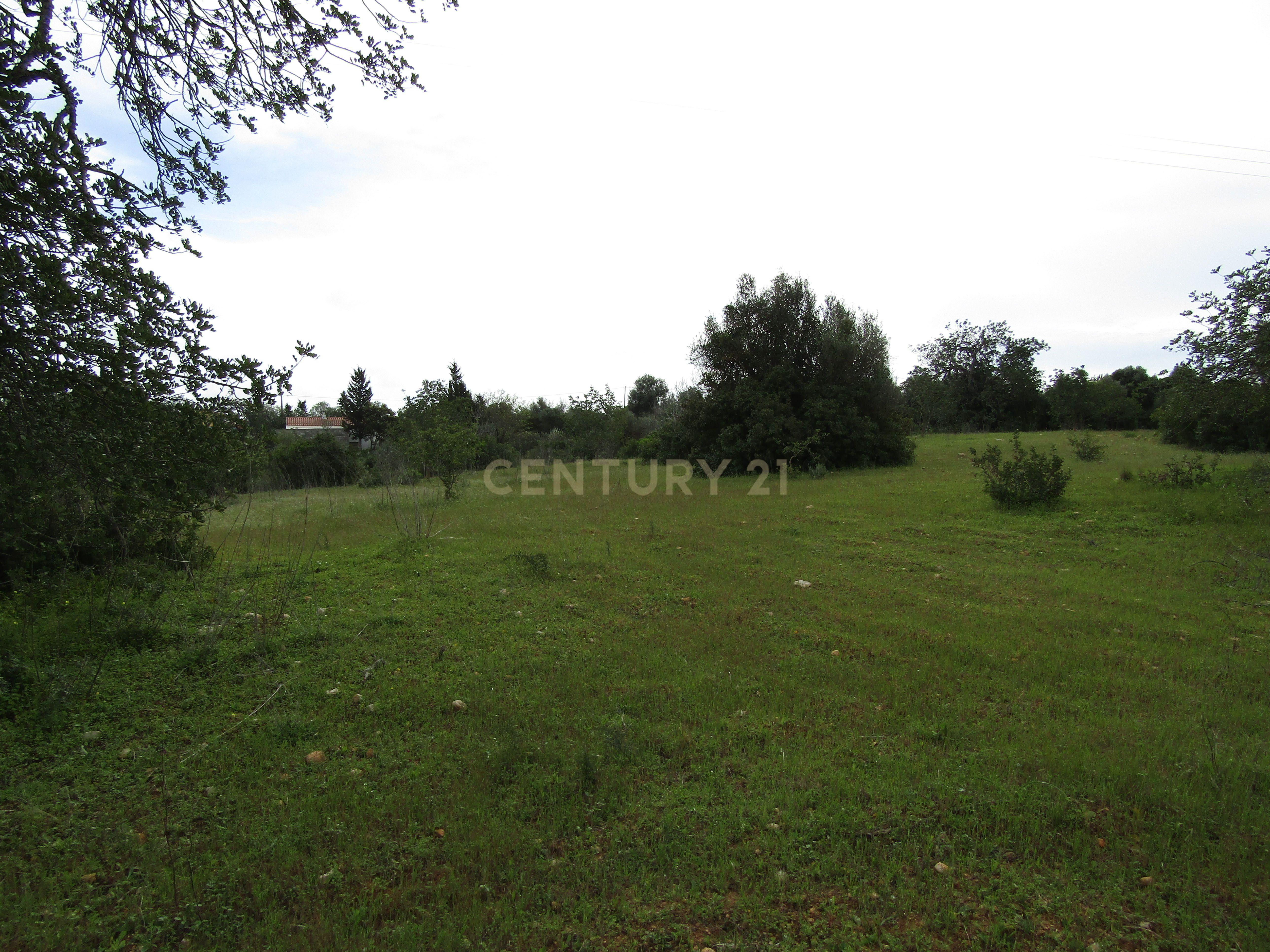 Terreno Rustico em Paderne  - Image 10