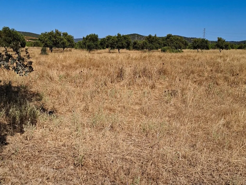 Terreno Rústico com Grande Potencial Agrícola – 7.800 m² em Paderne, Albufeira - Image 8