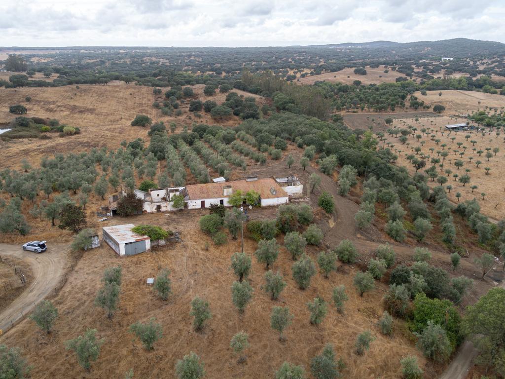 HERDADE COM 5,9 HECTARES, MORADIA E CAVALARIÇA | SANTIAGO DO ESCOURAL - Image 2