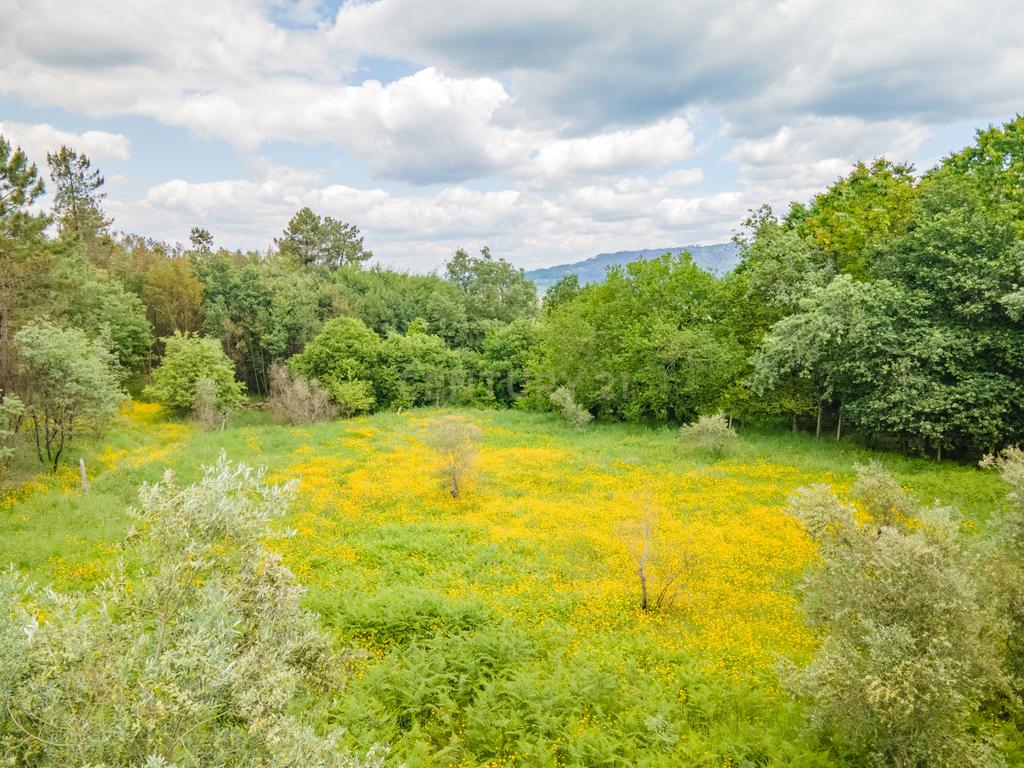 Terreno Urbano em Marco de Canaveses com Vista Campestre - Image 7
