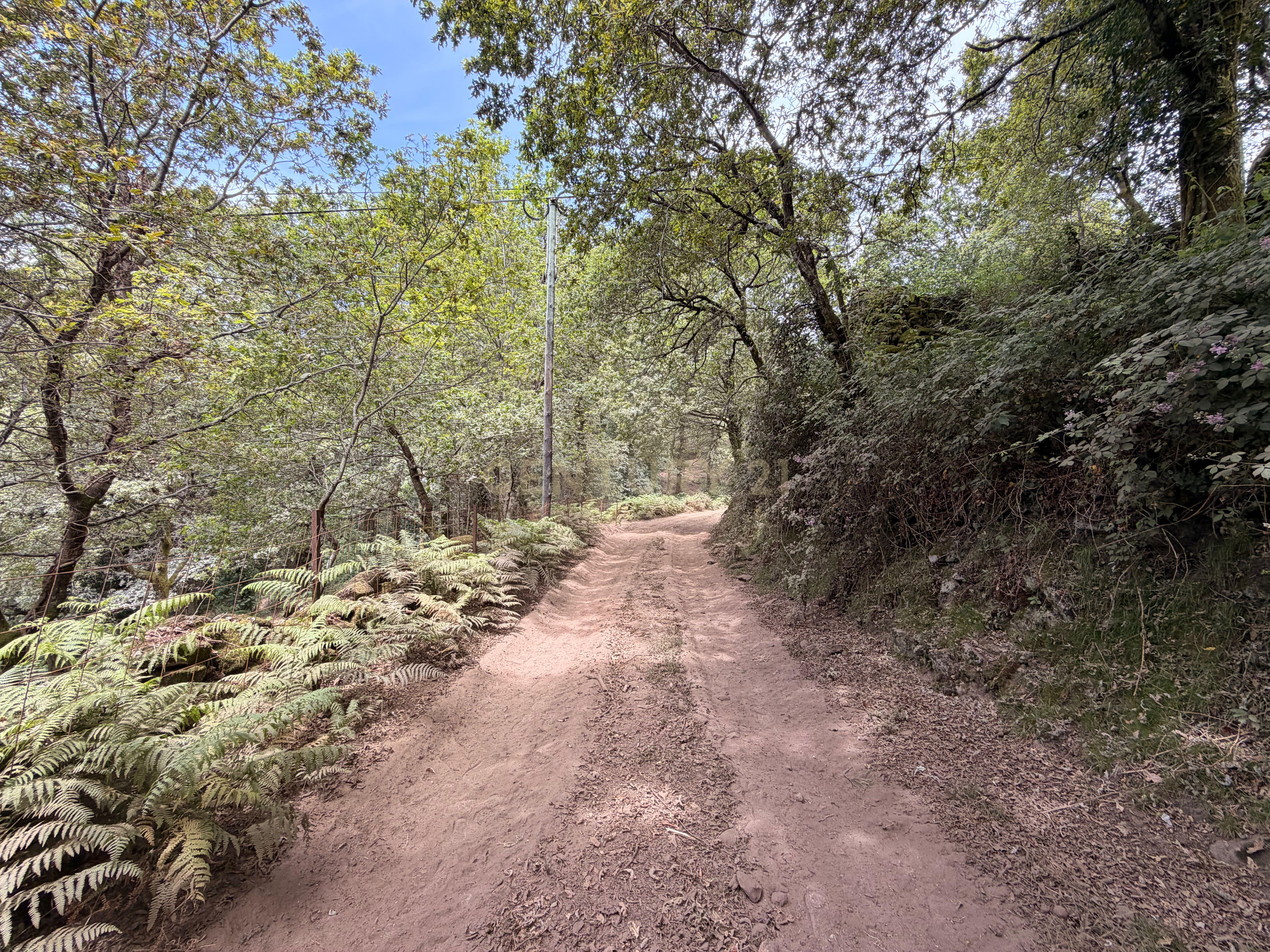 Fotografia 6 de Moradia para restauro e terreno com 2 261m2 em Adrão, Arcos de Valdevez